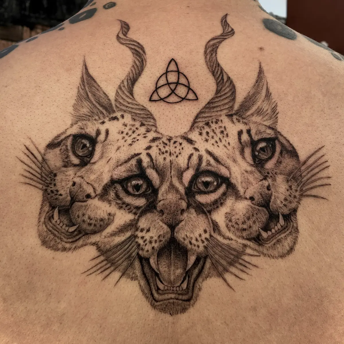Tattoo von Vanessa, Fineline und Black & Grey und Microrealism